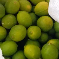 لیمو ترش دستچین زیر قیمت