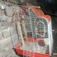 قفس پرنده