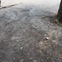 منزل-اجاره-ای-به-اتباع