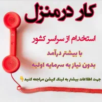 بانو درکنار خانواده به درآمد برس