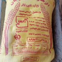 ارد گونی زرد الزهرا تازه
