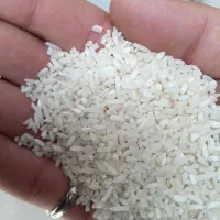 نیمدانه هاشمی محلی ۲۳۰