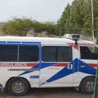 ون . دلیکا