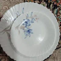 سرویس بشقاب آرکوپال