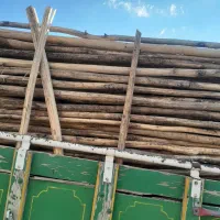 چوب داربست انگور‌