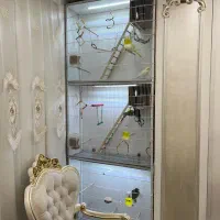 قفس سه طبقه ویترینی