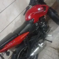 پالس 135