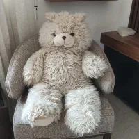 خرس بزرگ خارجی