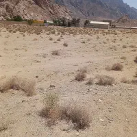 فروش-استثنایی-زمین-مزروعی-دارای-سند-تکبرگ