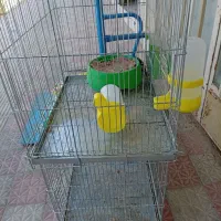 با سلام،2عدد قفس جفت کن کبوتر ،دونه 1100،