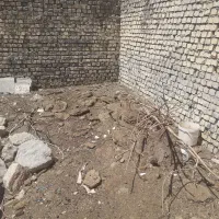 کود گوسفندی