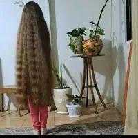 قیچی کردن کوتاهی خریدار مو با کوتاهی اصولی اساس
