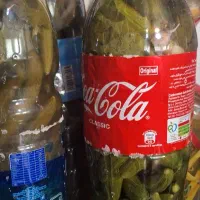 خیارشور