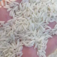 برنج هاشمی درجه یک