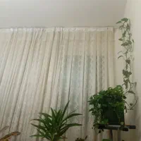 خونه دارم همخانه خانوم محدوده ستارخان