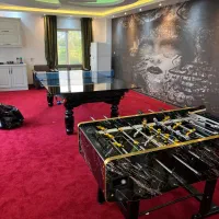 میز بیلیارد تولیدکننده بیلیارد وارداتی چندمنظوره