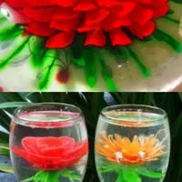 آموزش تخصصی ژله تزریقی