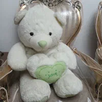 خرس بزرگ و شیک جنس خارجی