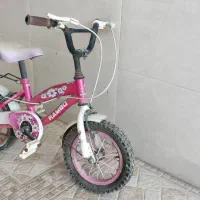دو عدد دو چرخه