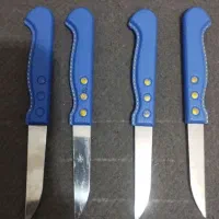 چاقو میوه خوری 24 عدد قیمت هر دست سیصد