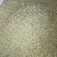 حبوبات|خوردنی و آشامیدنی|کوهین, |دیوار