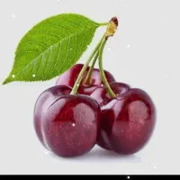 یک باغ گیلاس