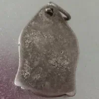 بدلیجات رنگ ثابت
