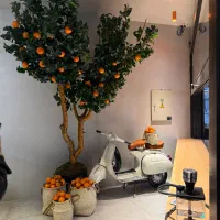 استخدام نیرو کافه محدوده گیشا