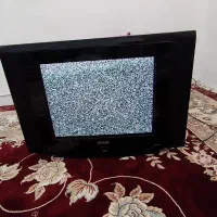 تلویزیون