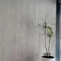 میکروسمنت و پتینه