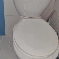 سرویس فرنگی