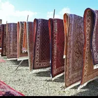 قالیشویی ومبلشویی دانش