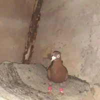 سلام‌درودفراوان