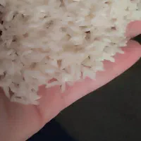 برنج