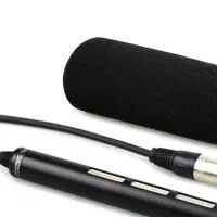 ۲ عدد میکروفن گان سونی در حد اک