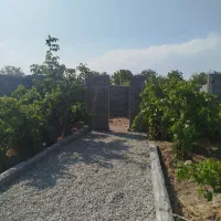 باغ چهار دیواری قدیمی/۲۵۰ متری/اقساطی