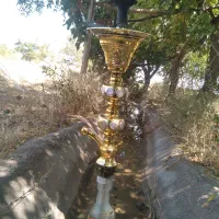 فروش قلیان عربی، کافه ای