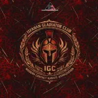 کلاس های آموزشی MMA ، دفاع شخصی و بادیگاردی