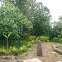 فروش زمین 310 متر گلسار کوی اساتید(ژ5)