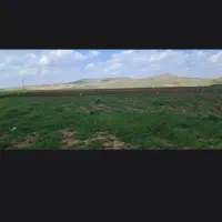 10-هکتار-زمین-کشاورزی