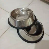 لوازم نگهداری گربه خانگی