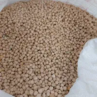 فروش نخورد دیم کوهستان  محلی ارگانیک