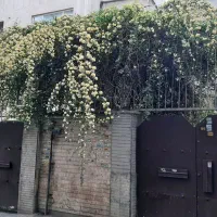 210 متر واقع در شهیدنجارزادگان موقعیت بسیارعالی