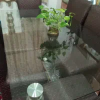 میز ناهارخوری ۶ نفره صفحه شیشه ای ضخیم ایتالیایی