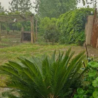 فروش 3 قطعه زمین استثنایی، سند تک برگ