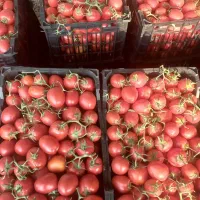 گوجه|خوردنی و آشامیدنی|بجنورد, |دیوار