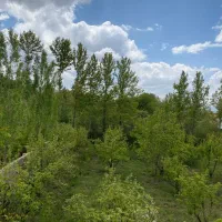 انبار-1250-متری-درخت-سبز