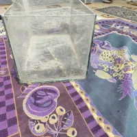 آکواریوم