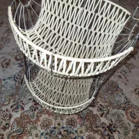 جاسیب زمینی پیاز