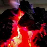 پخش ذغال کبابی سیب و اجیلی